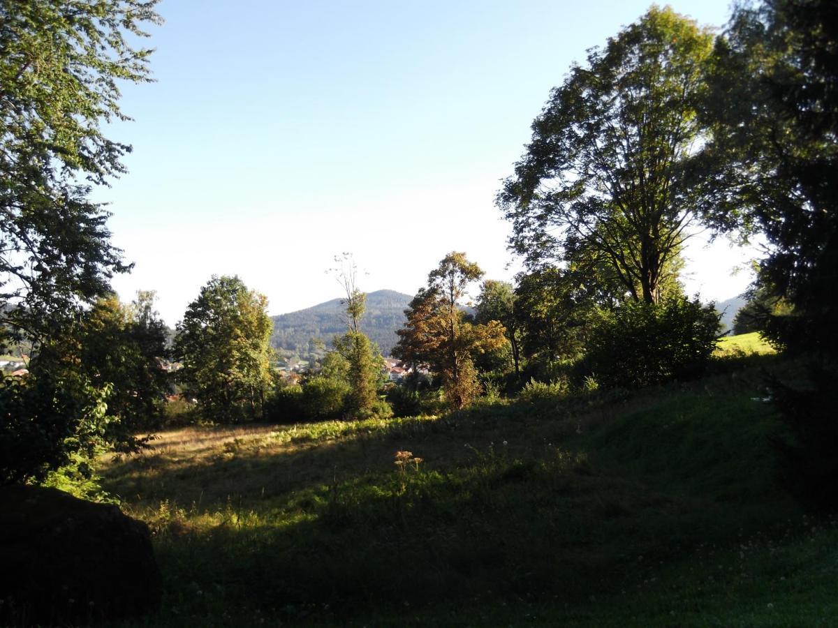 Fewo 4 Am Rechensoldenweg 29 Διαμέρισμα Bodenmais Εξωτερικό φωτογραφία